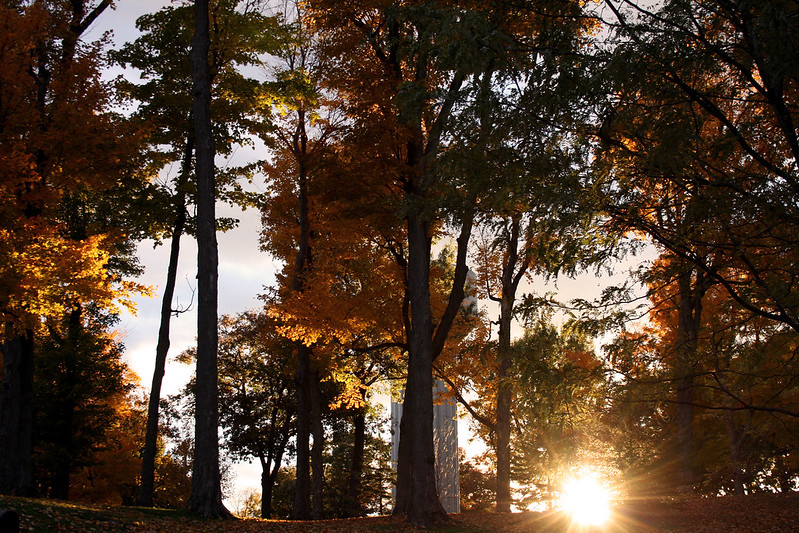 Trees with colorful leaves in the fall at Thompson Park in Watertown, NY