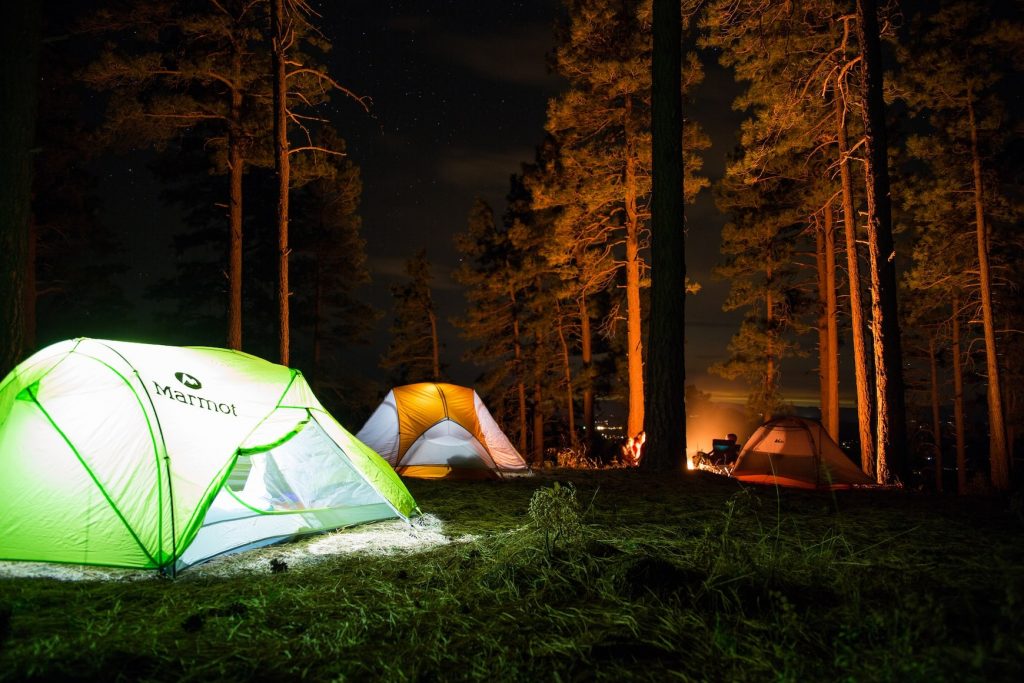 Tents set up at a campsite in the forest